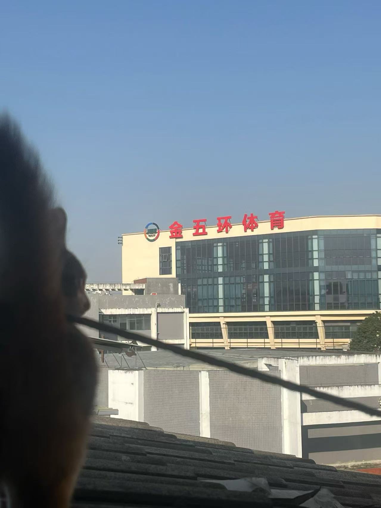 猫咪13